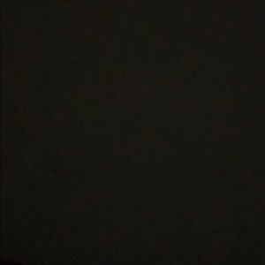 Meet your Posher, Ricky